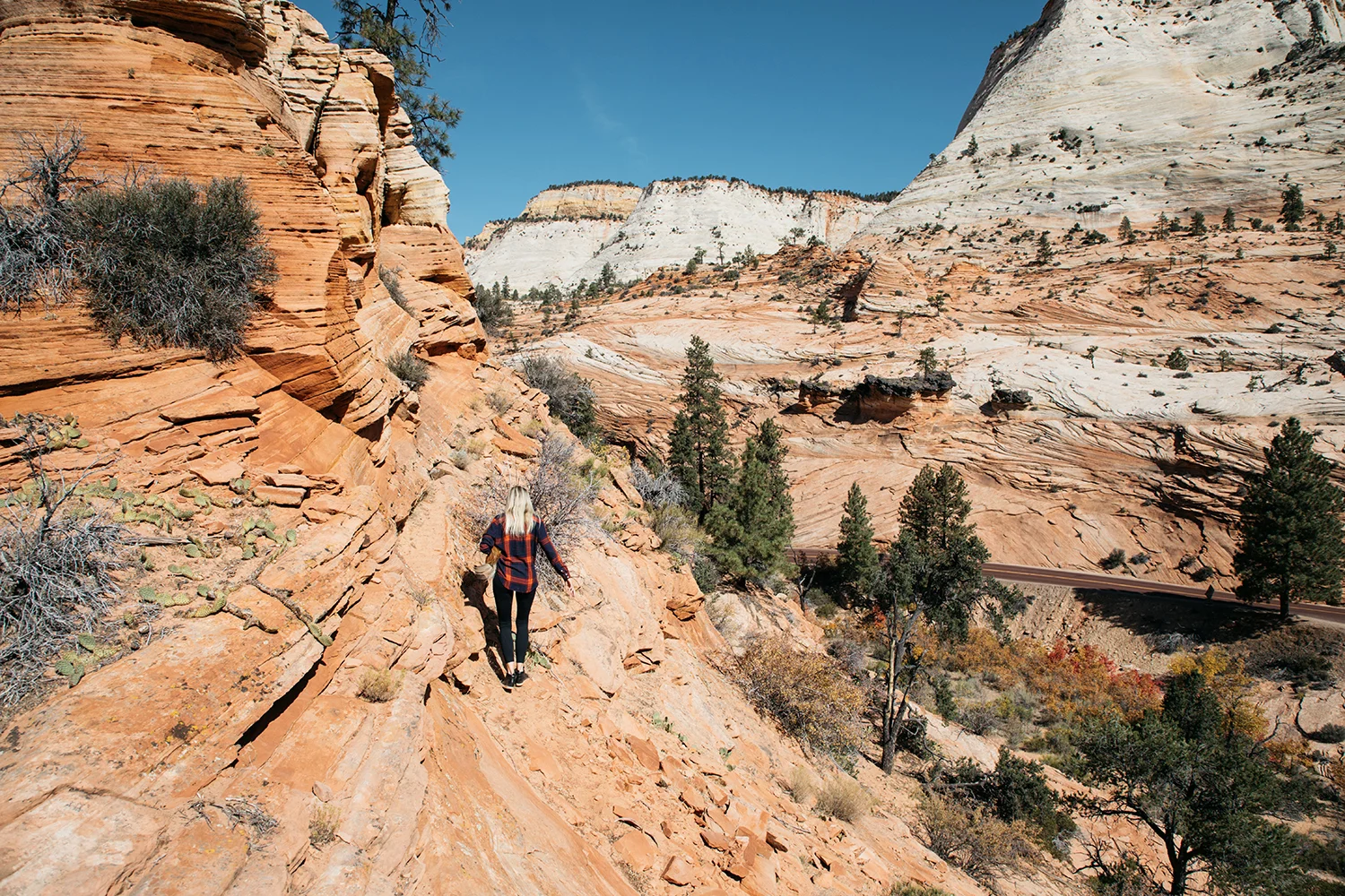 Zion 5.jpg