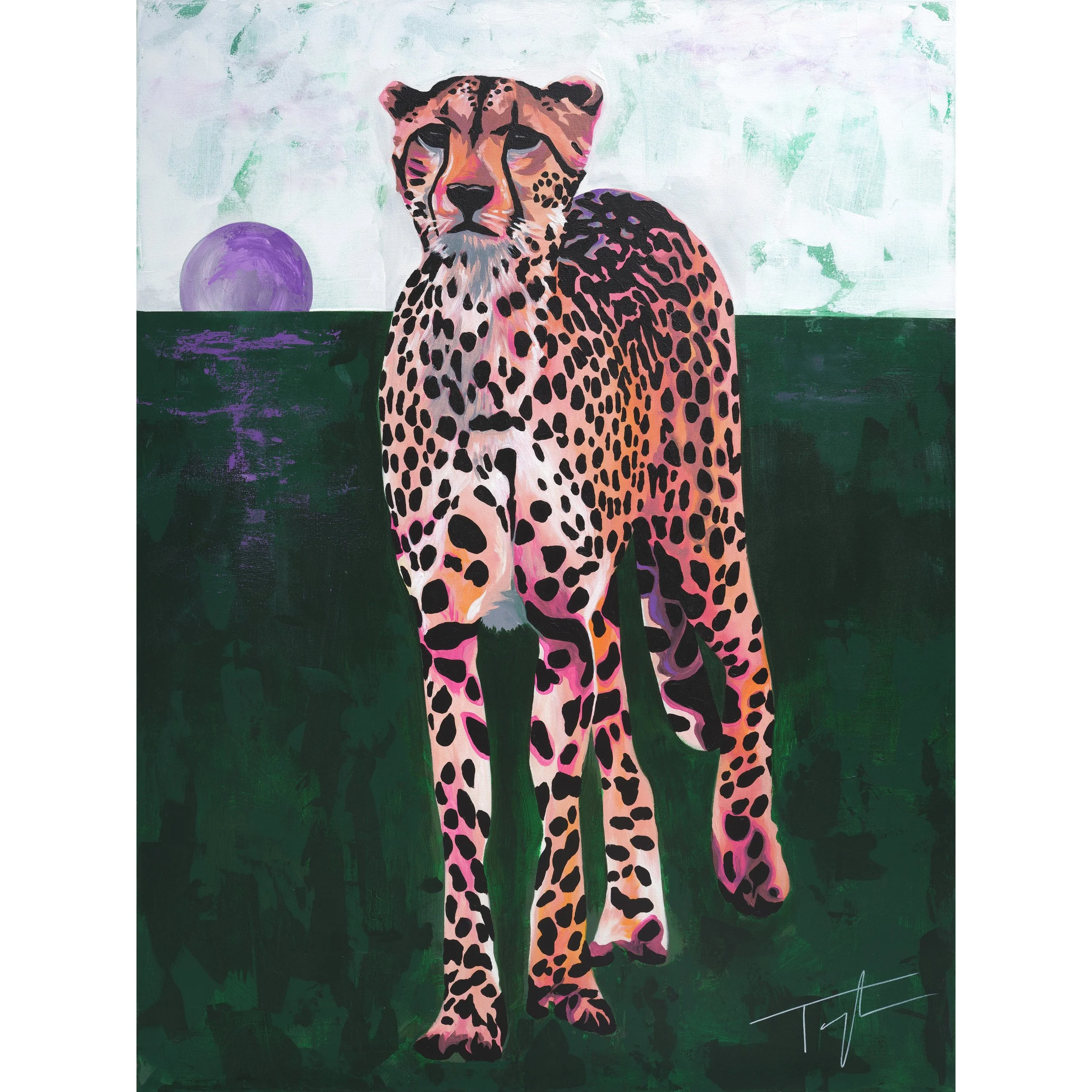 Cheetah - Limited Edition Print