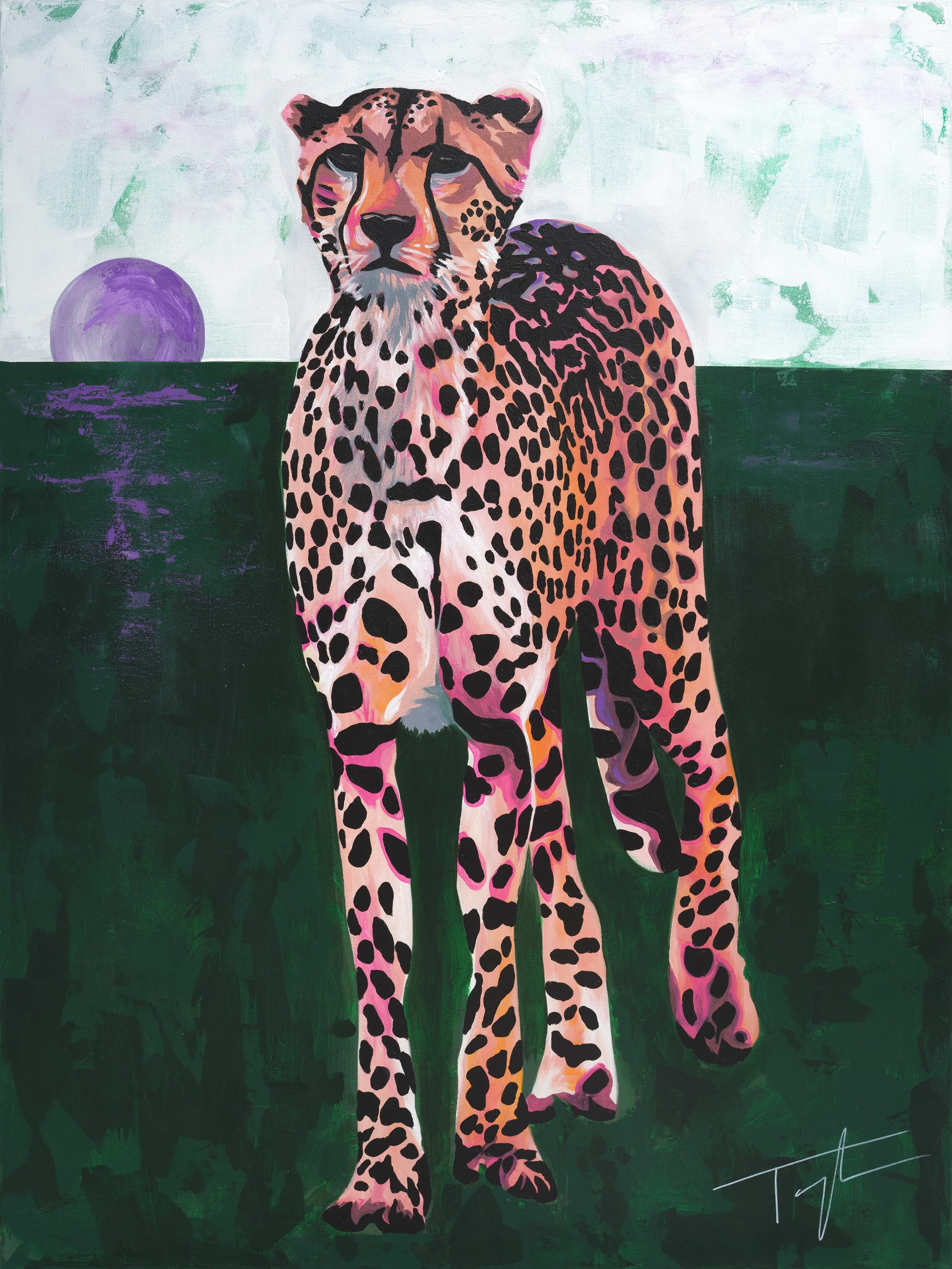 Cheetah - Limited Edition Print