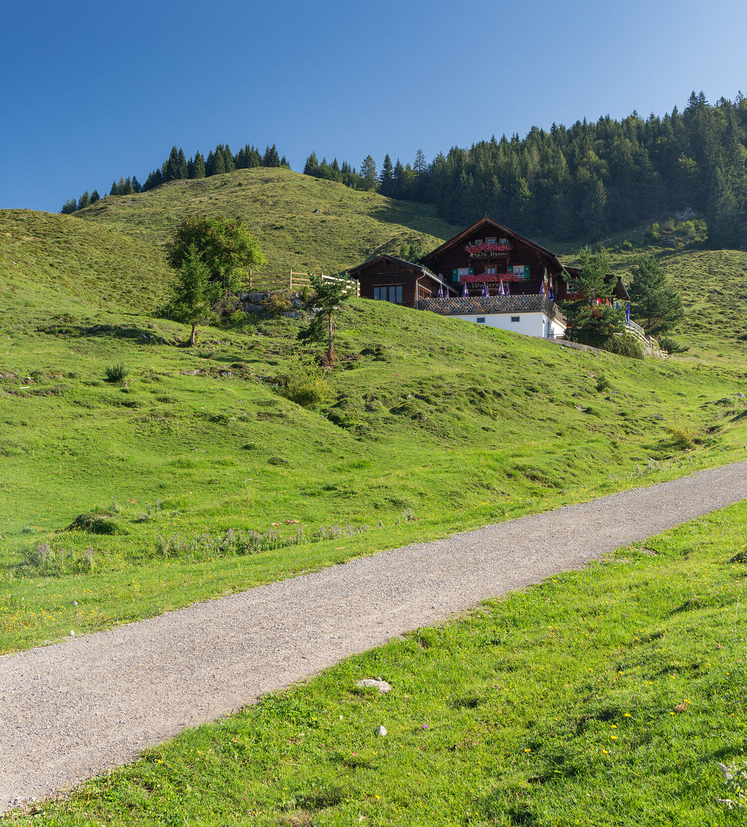 August - Walleralm, Hinterstein.jpg