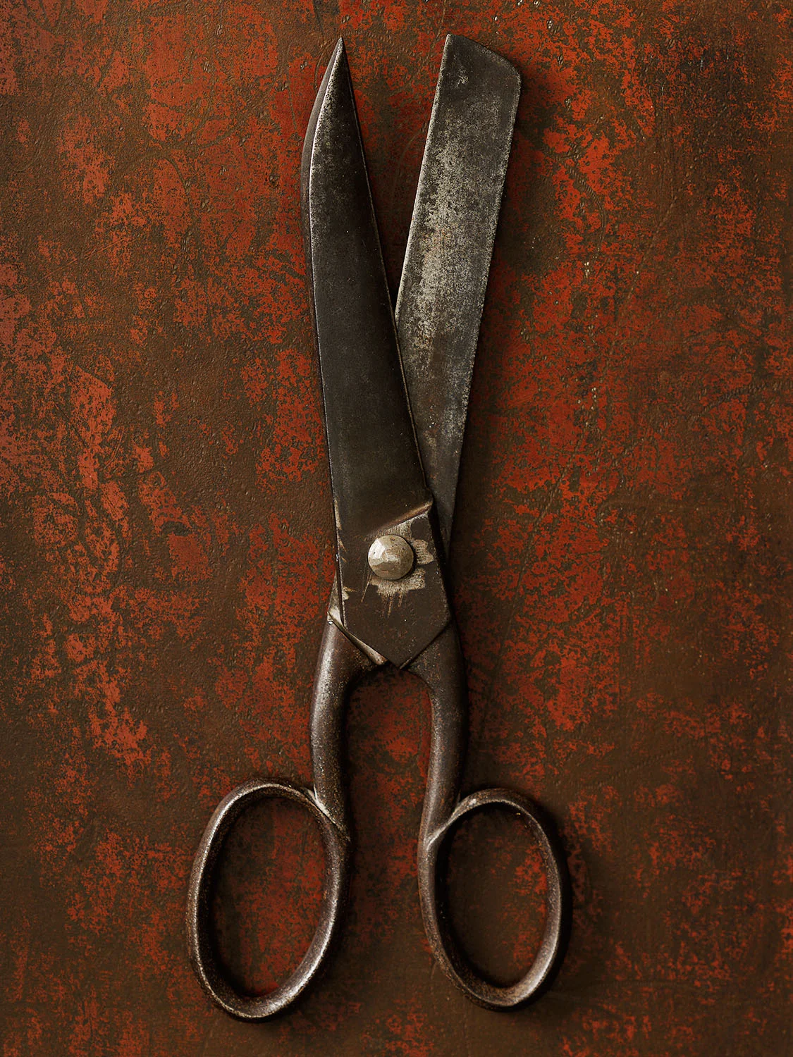 #10 Haberdashery Shears
