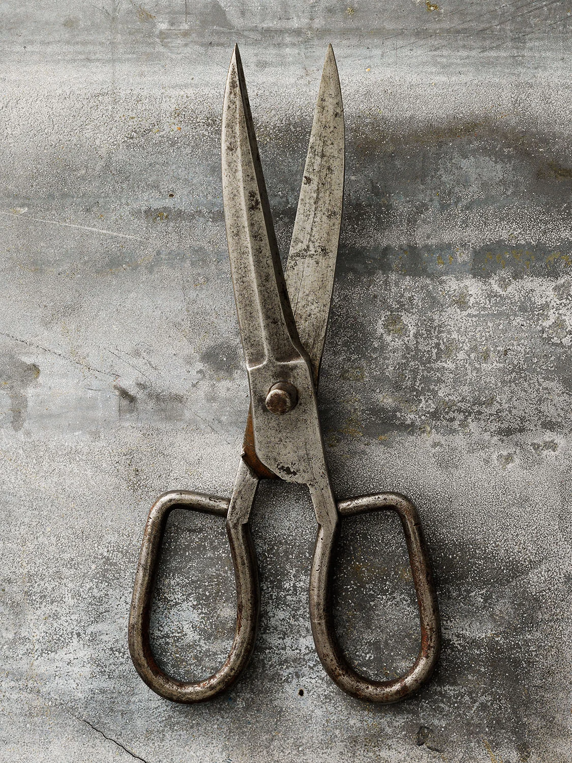 #11 Steel Sissors