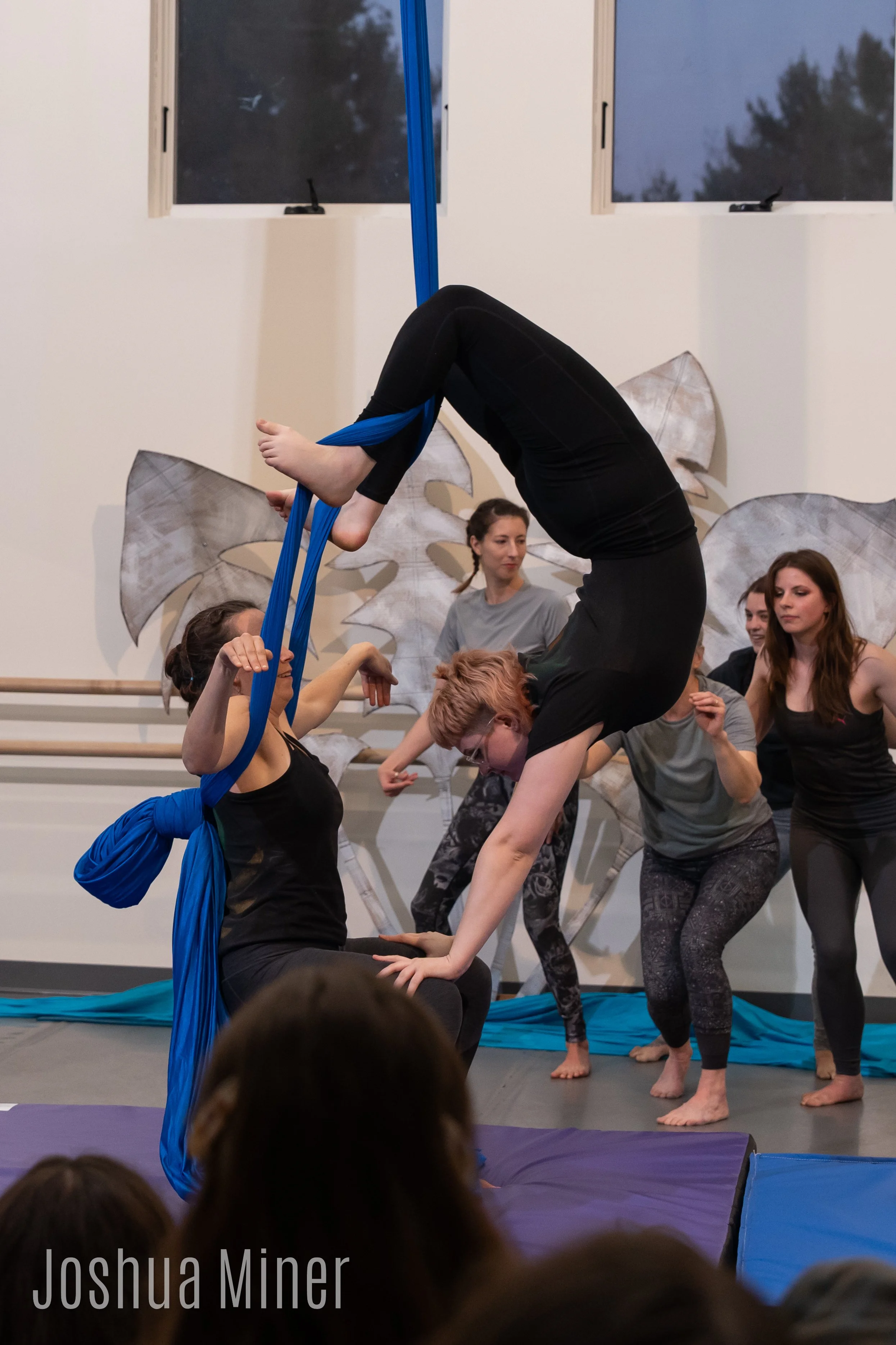 Adult Session — Murmurations Aerial – SHZV