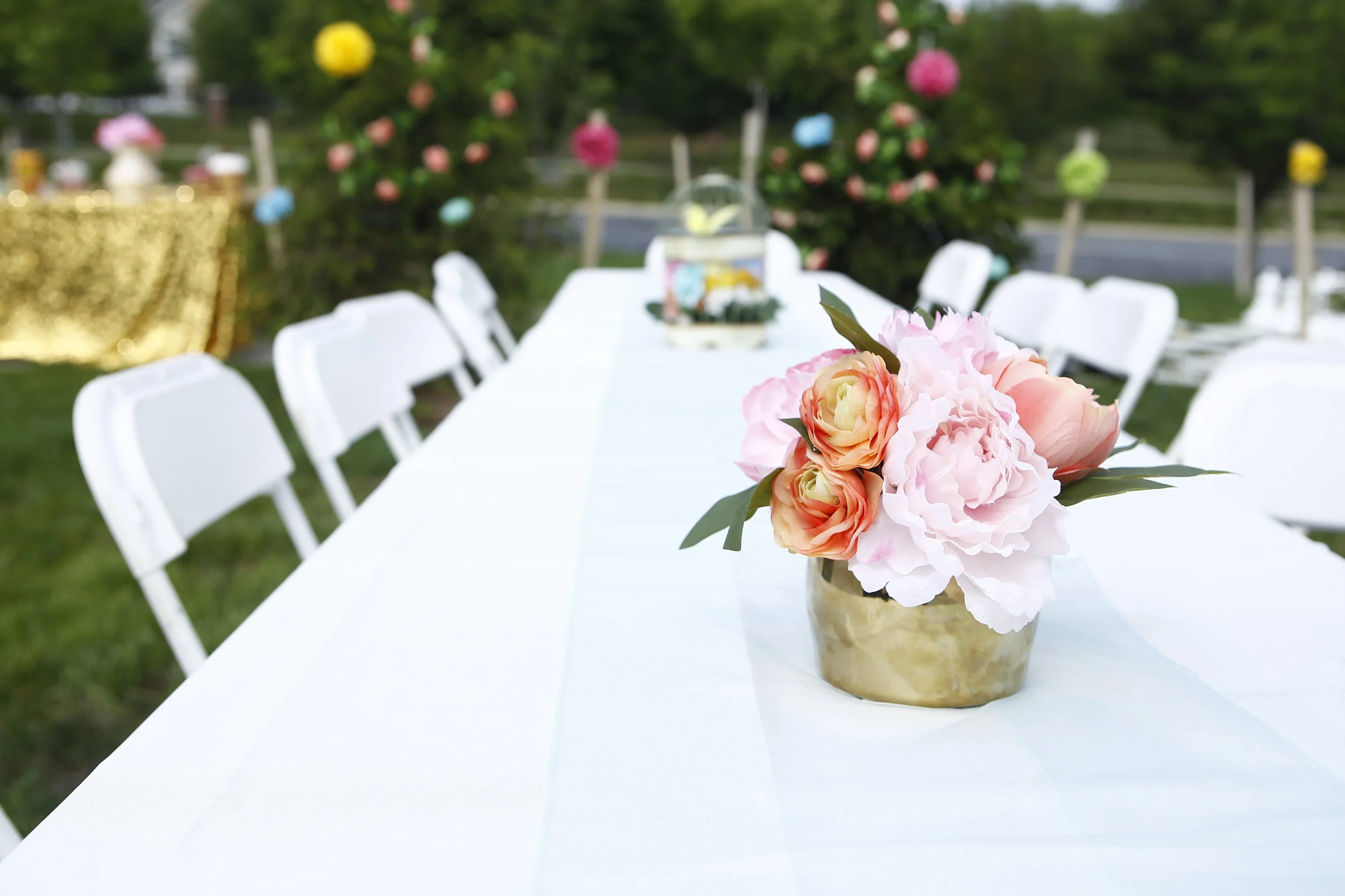 Copy of _MG_2013.JPG