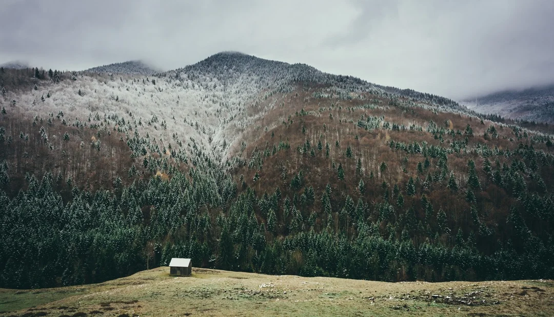 Photo credit: Buzac Marius