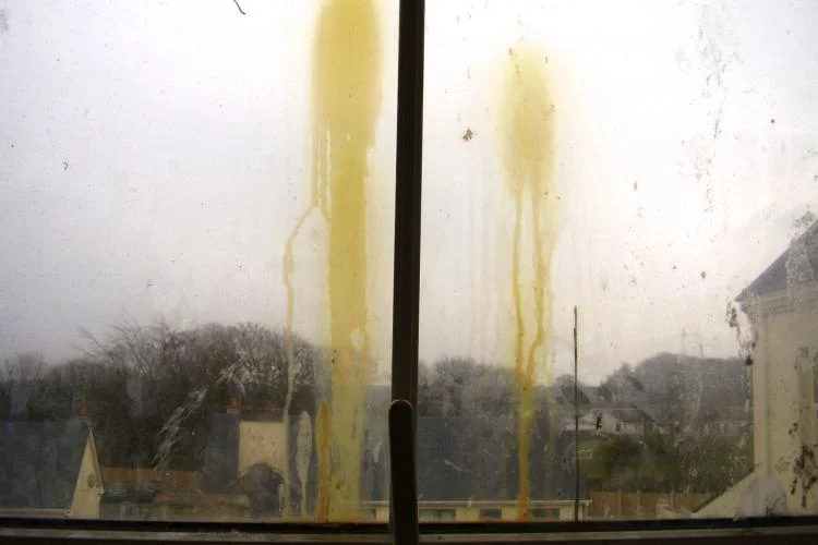 The Old Convent Direct Provision Centre, Ballyhaunis, 2008 (Photo by Vukasin Nedeljkovic).