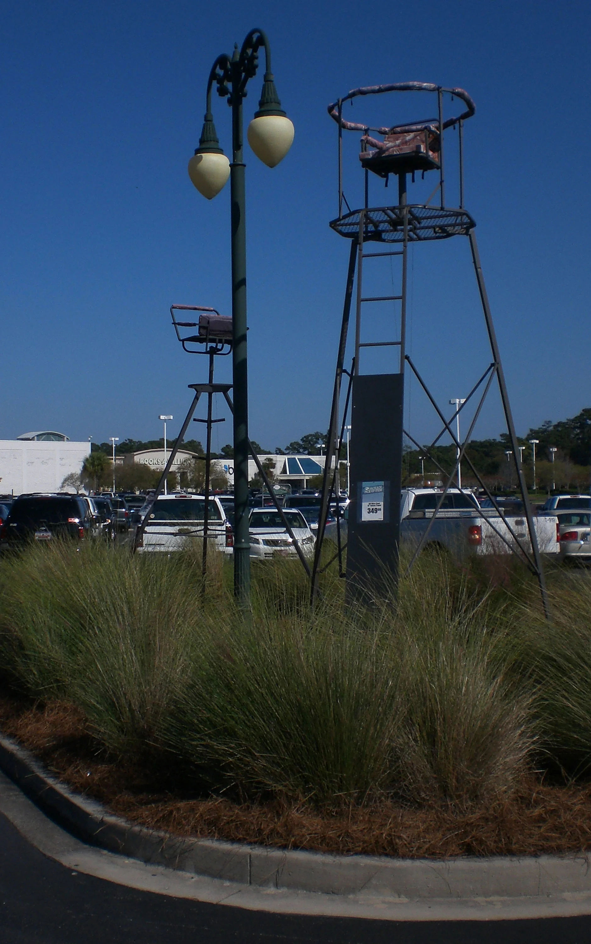 Figure 8. Deer Stand for sale in a small grassy patch of Outdoor World Parking lot. 