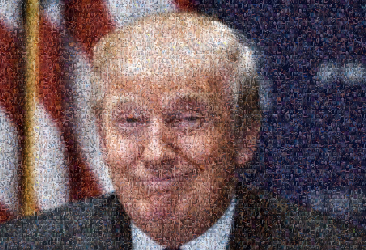  A mosaic of Donald Trump made entirely out of penises, as created by the Tumblr user “homopower.” The rhetorical desire-aesthetics of this rendering exceed analysis. 