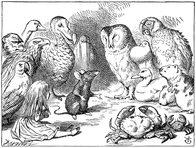 image002.jpg