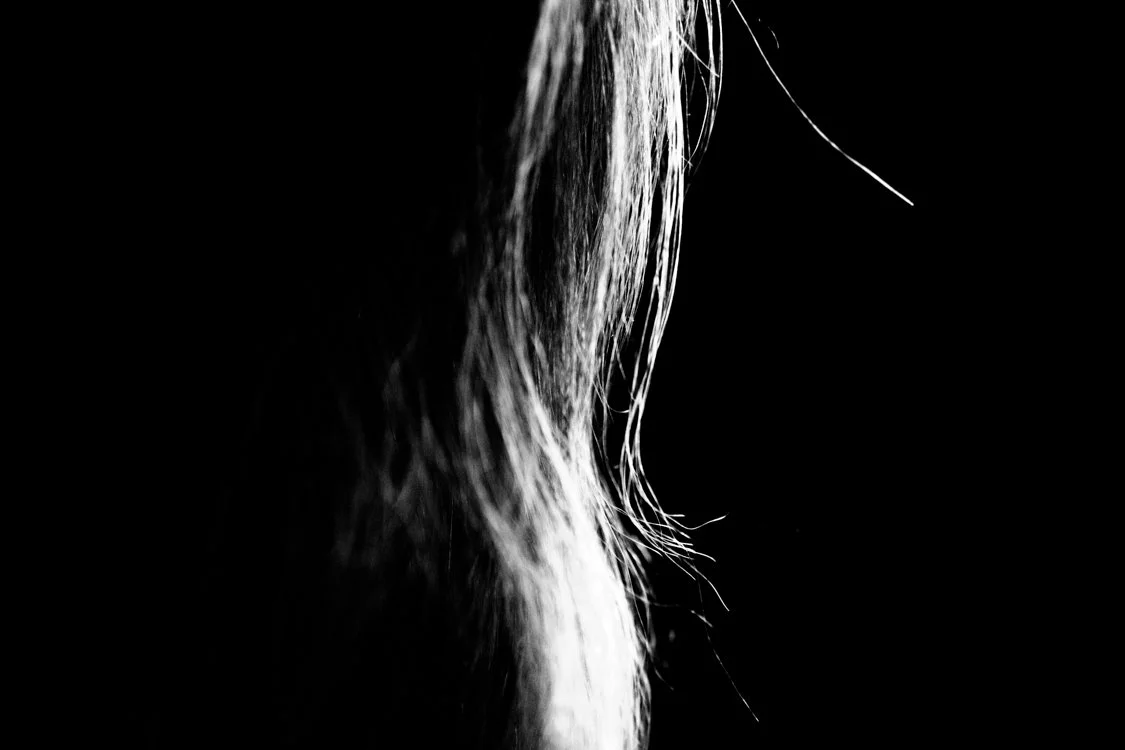 DFR_2018_Self_-15.jpg