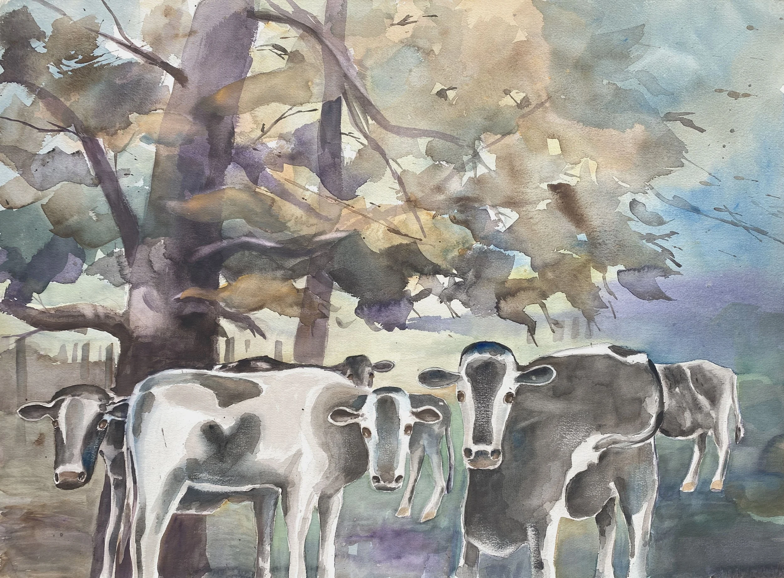 Jim Turner, Cows