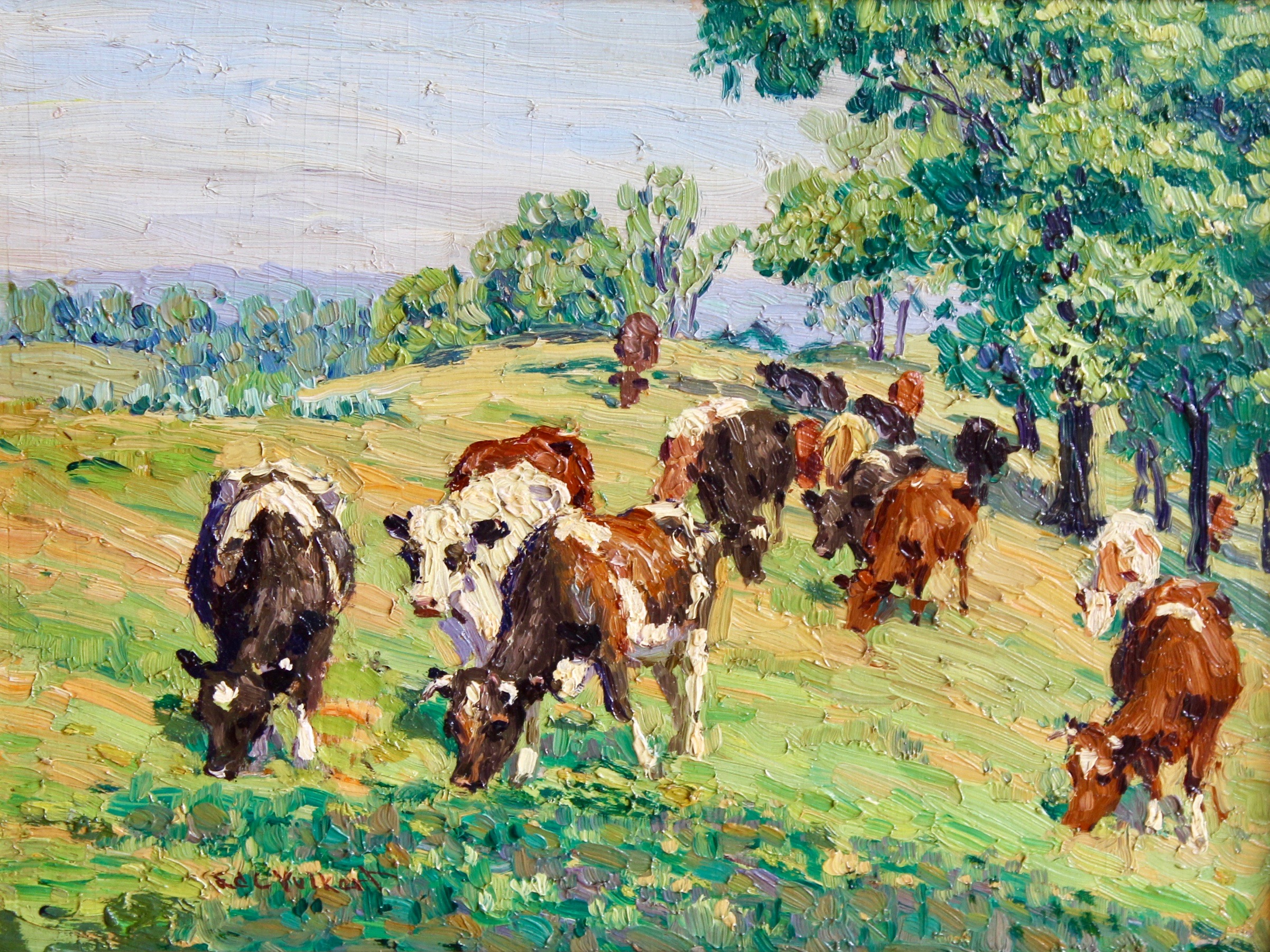 Hillside Pasture