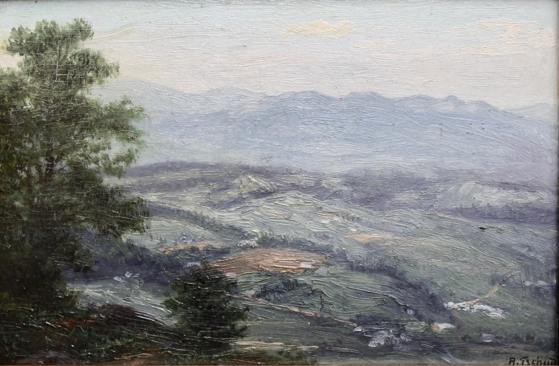 Rudolf Tschudi, South Roanoke Virginia