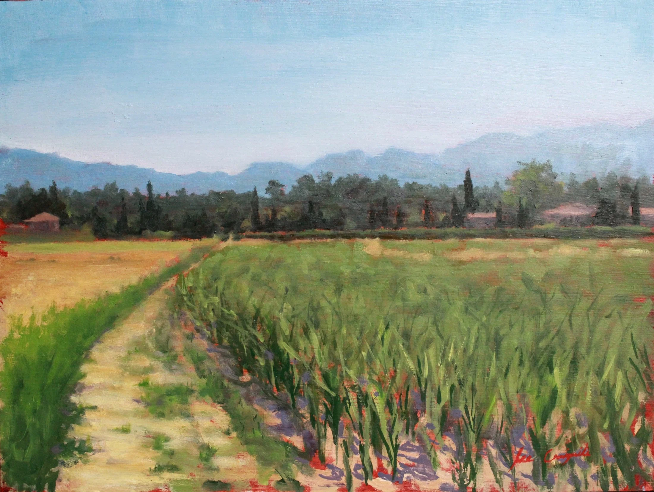 Lee Craigmile, Tuscan Landscape, Midday