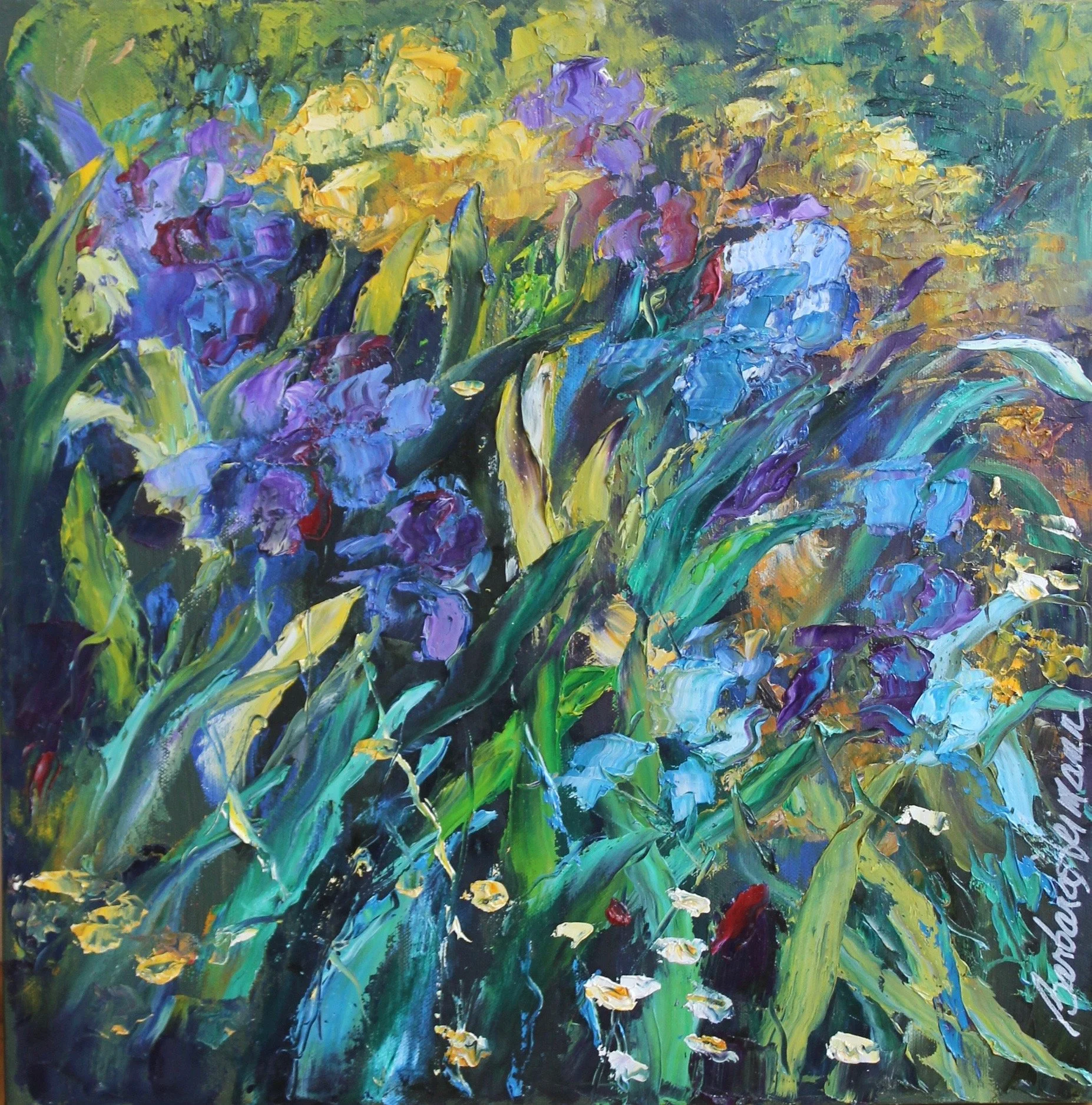 Barbara Heimann, Irises