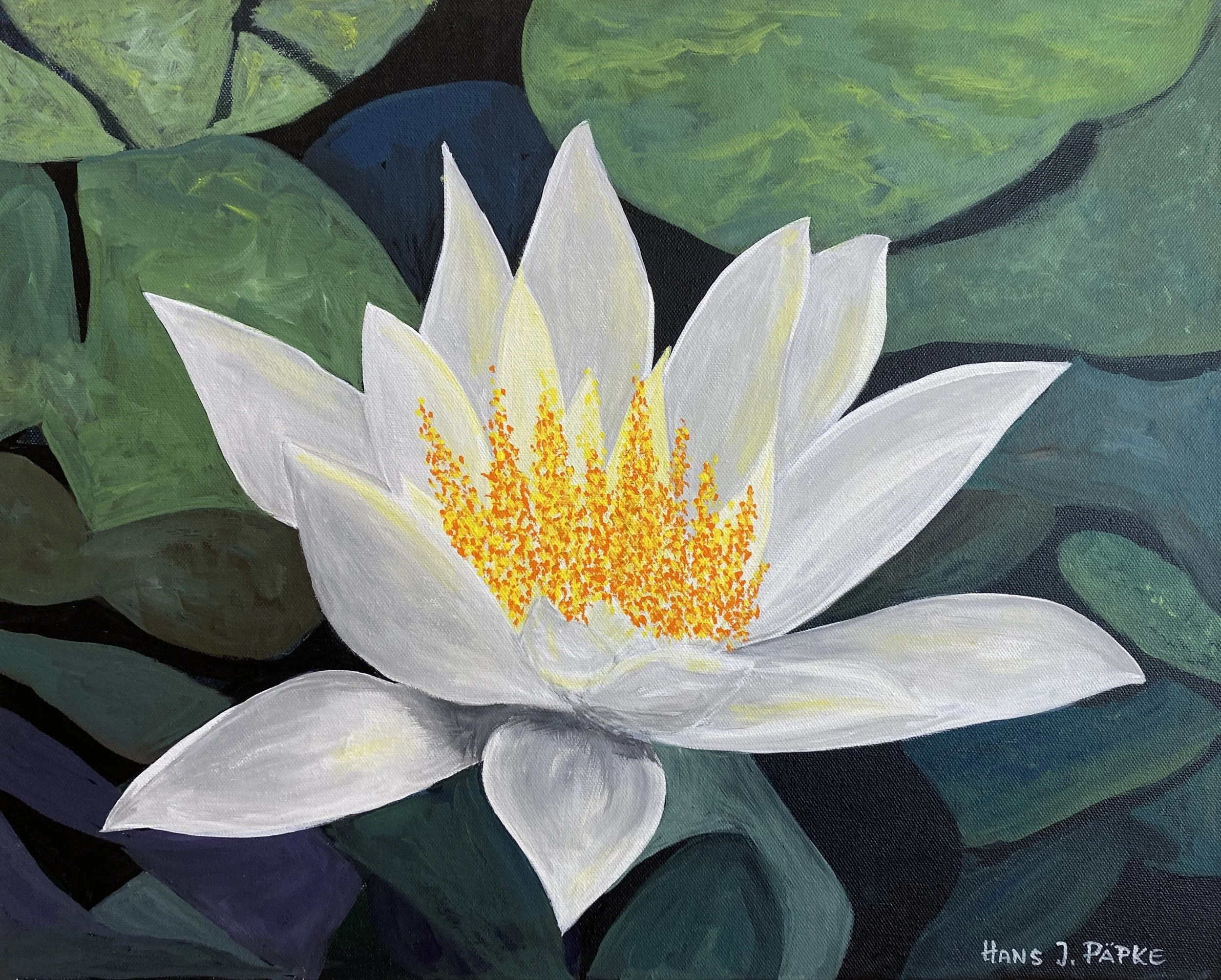 papke-waterlily-II.jpg