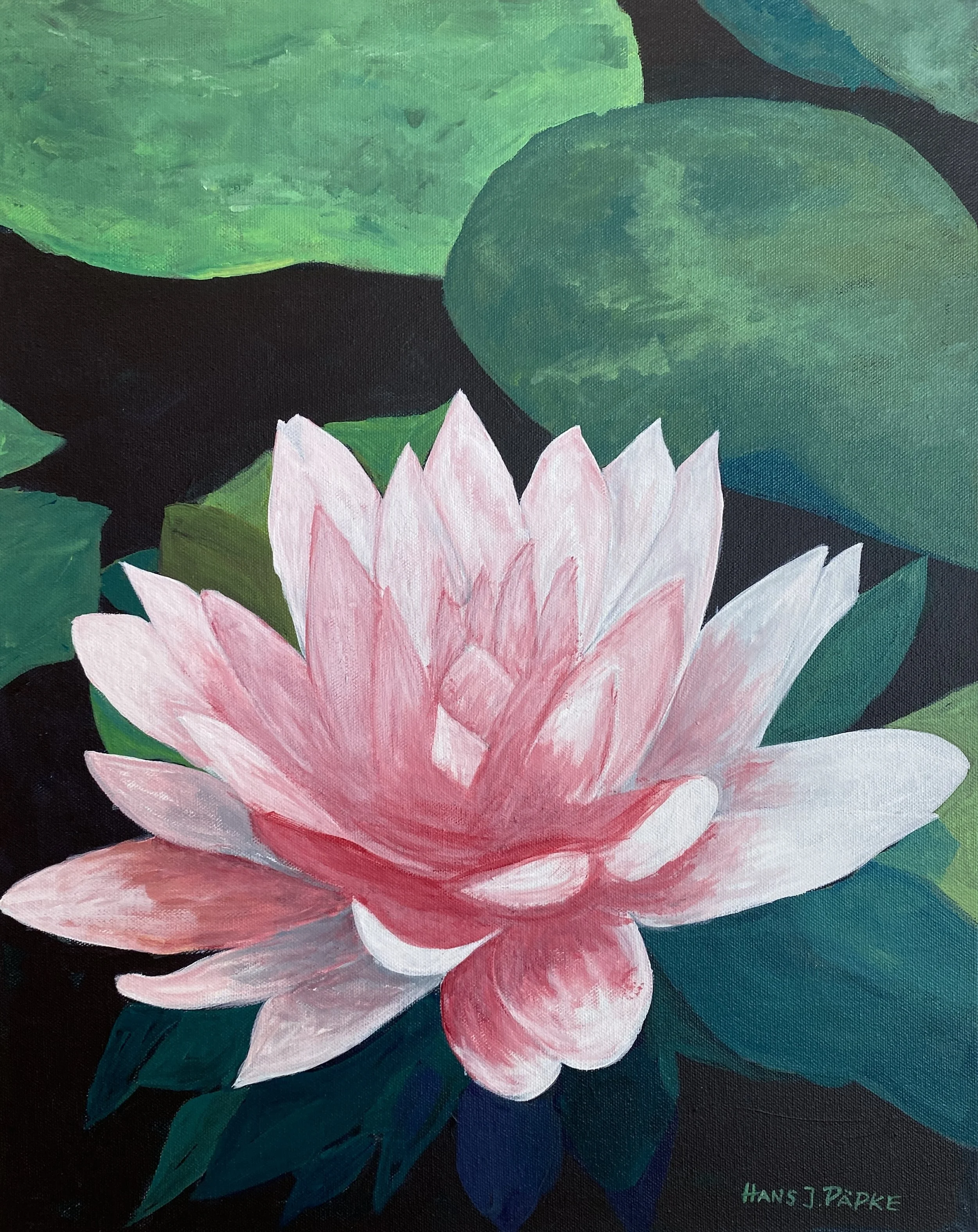 Hans Päpke, Waterlilies