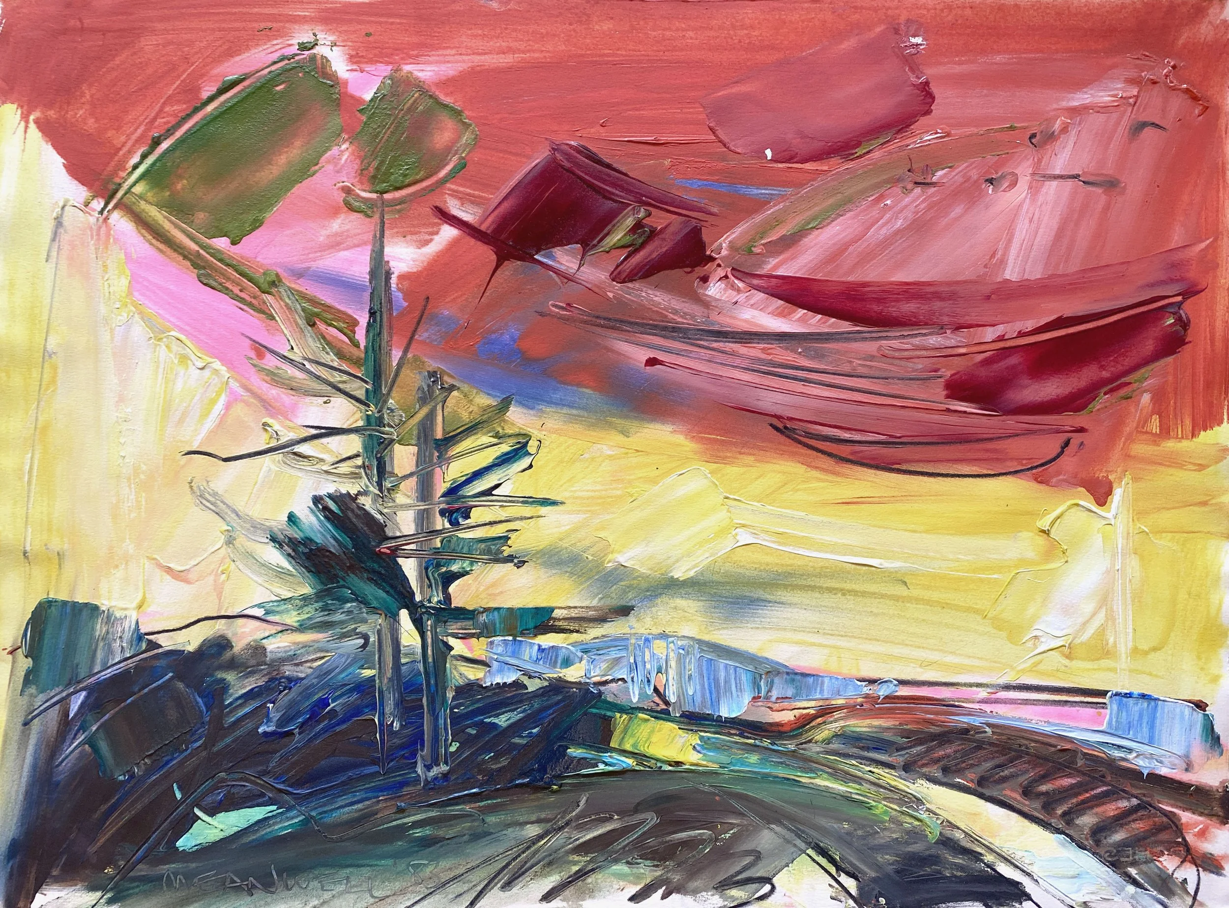 meanwell-landscape-1983.jpg