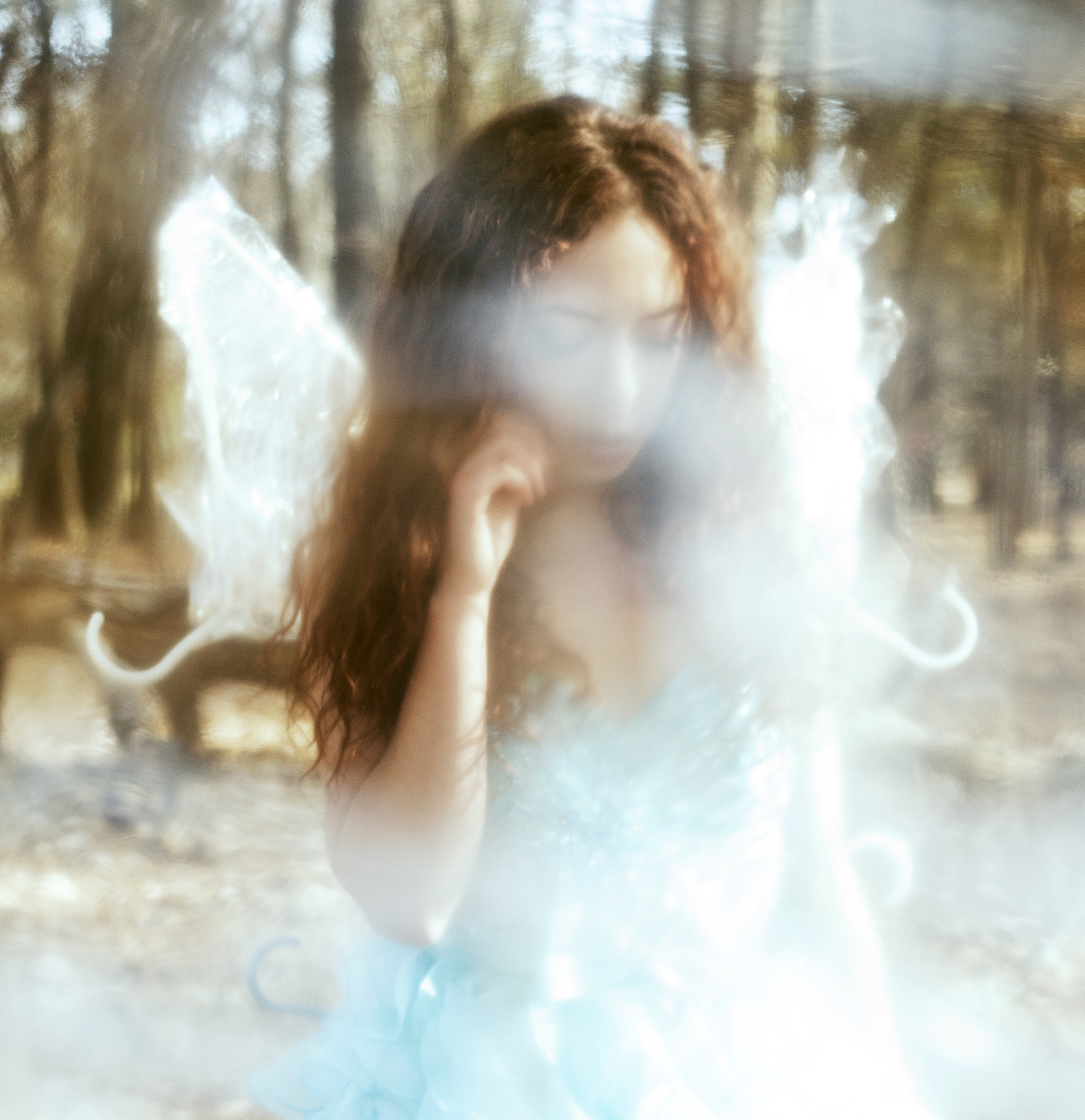 fairy3final.jpg
