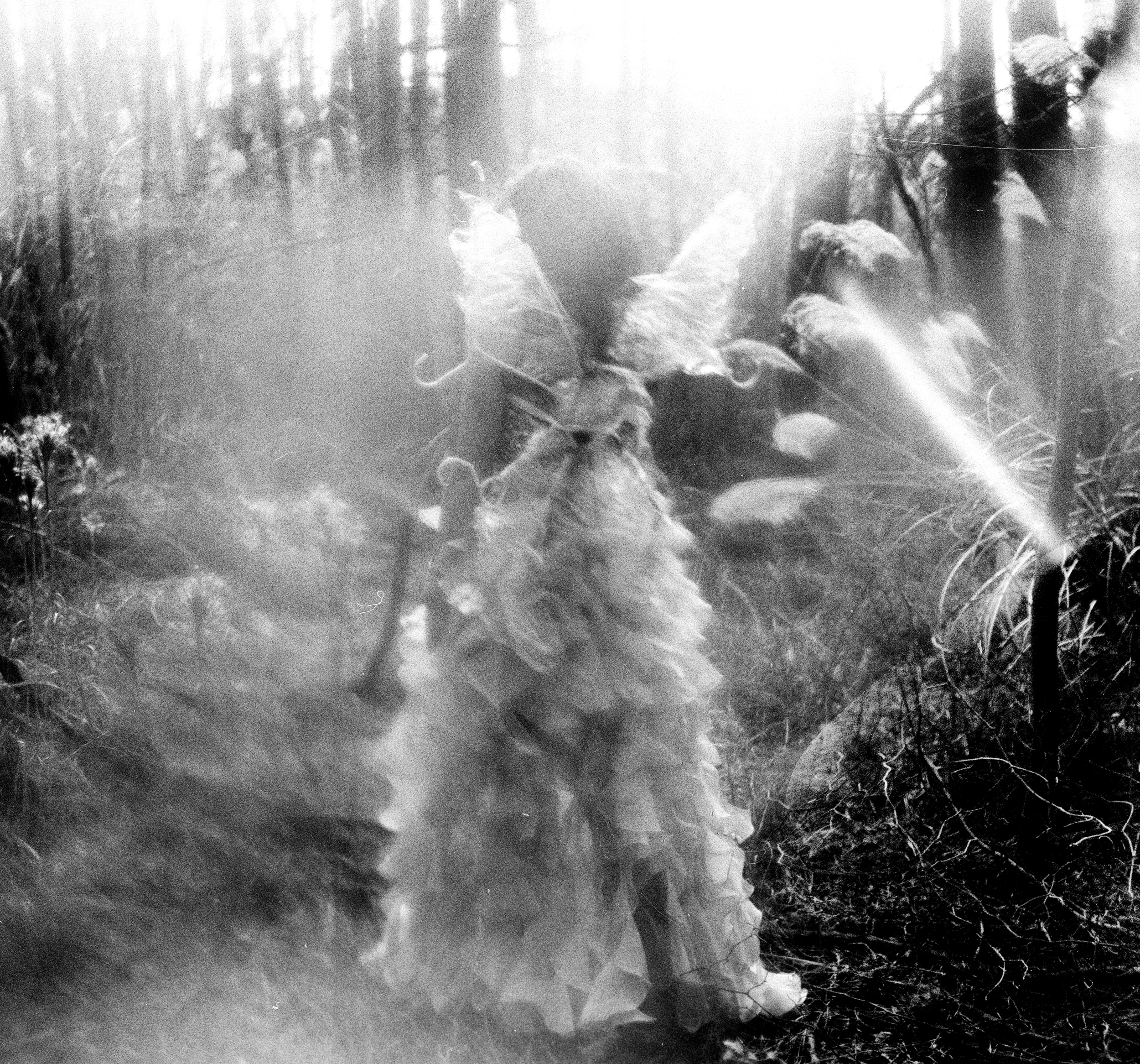 FairyFinalpic1.jpg