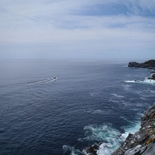 Spent another day on top of the tallest cliffs along the coast of Maine.jpeg