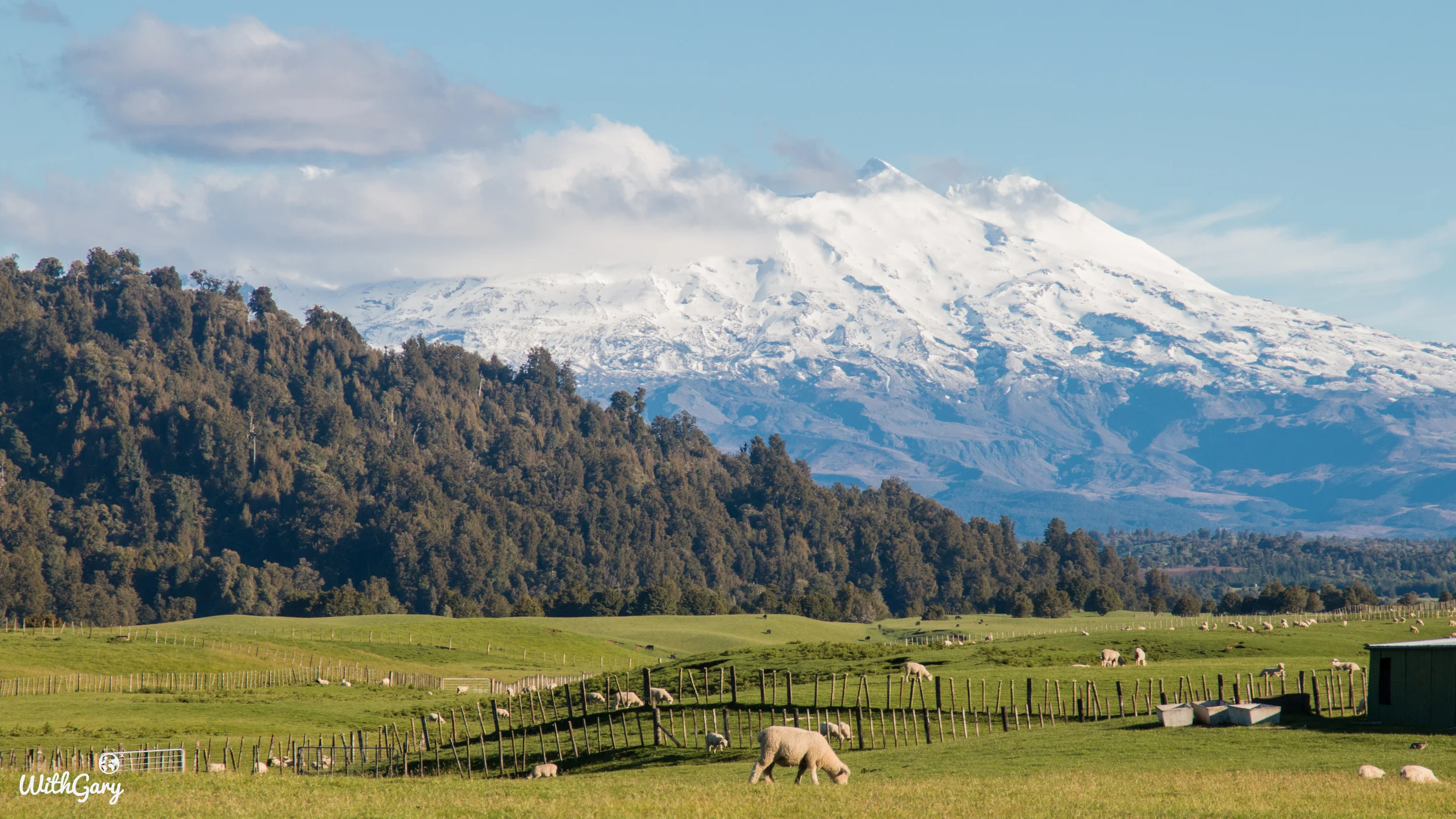 Great Walk Part II : Le mystère du Taranaki coupé