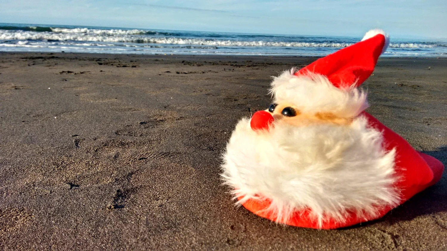 Réveillon autour du houblon