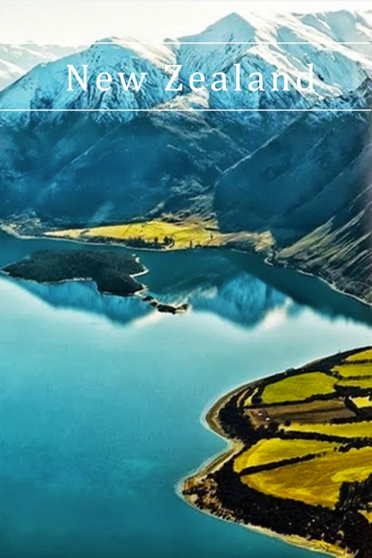 nz.jpg