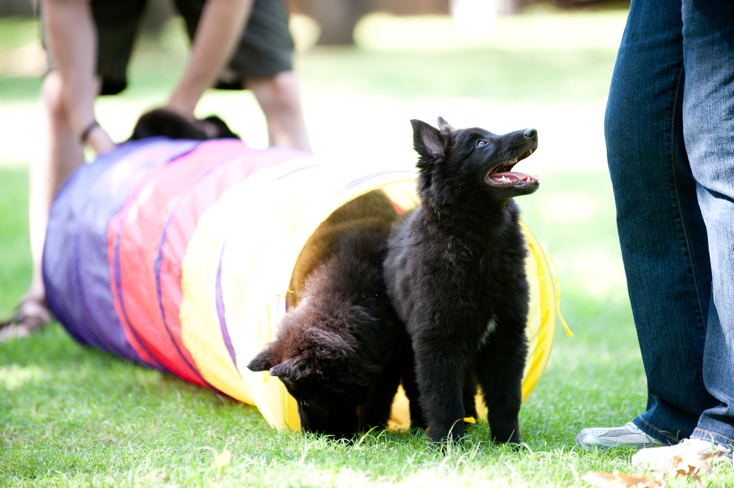 Playtime for Marquee