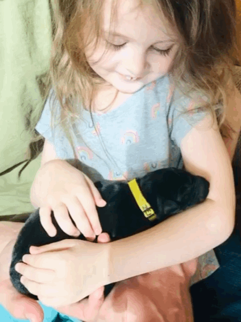 animated(5).gif