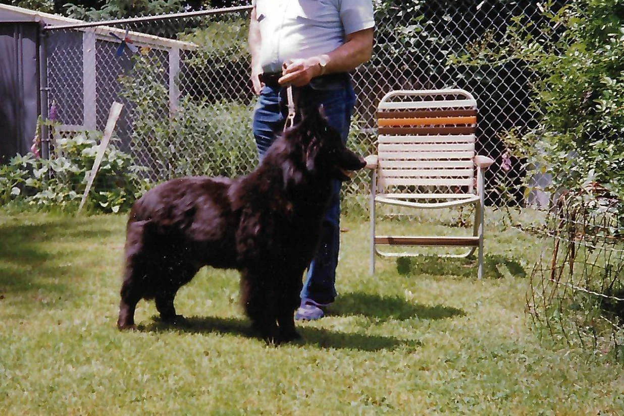 1991_20260508082414.jpeg