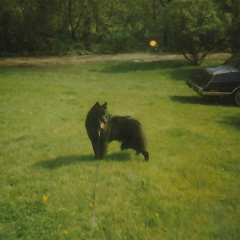 Misc_20260508094028.jpg