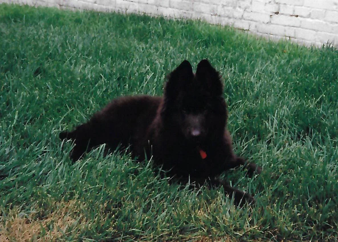 scan_20260618145745.jpeg