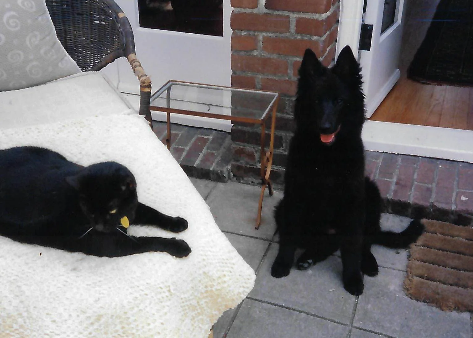 scan_20260618145804.jpeg