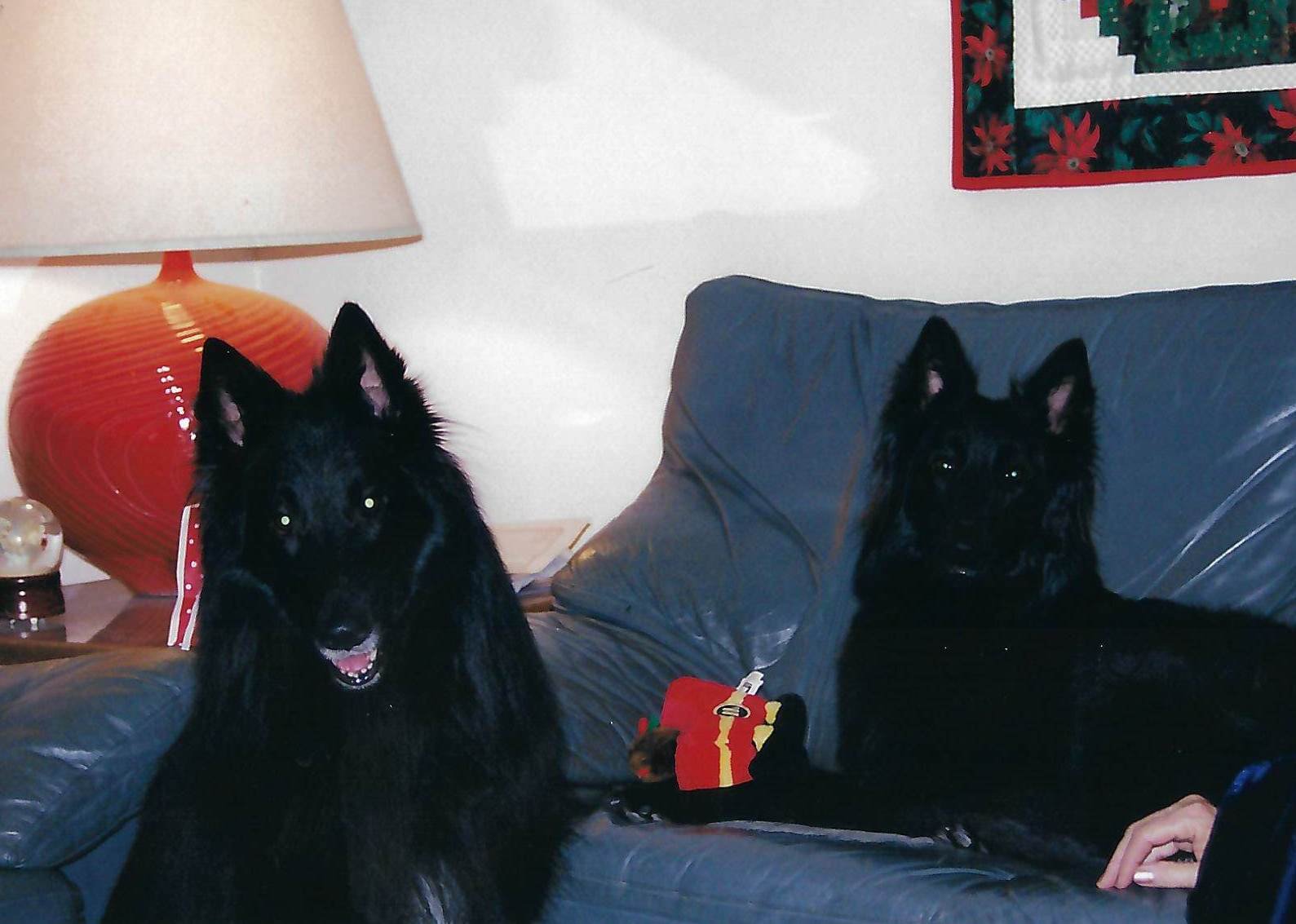 scan_20260618144855.jpeg