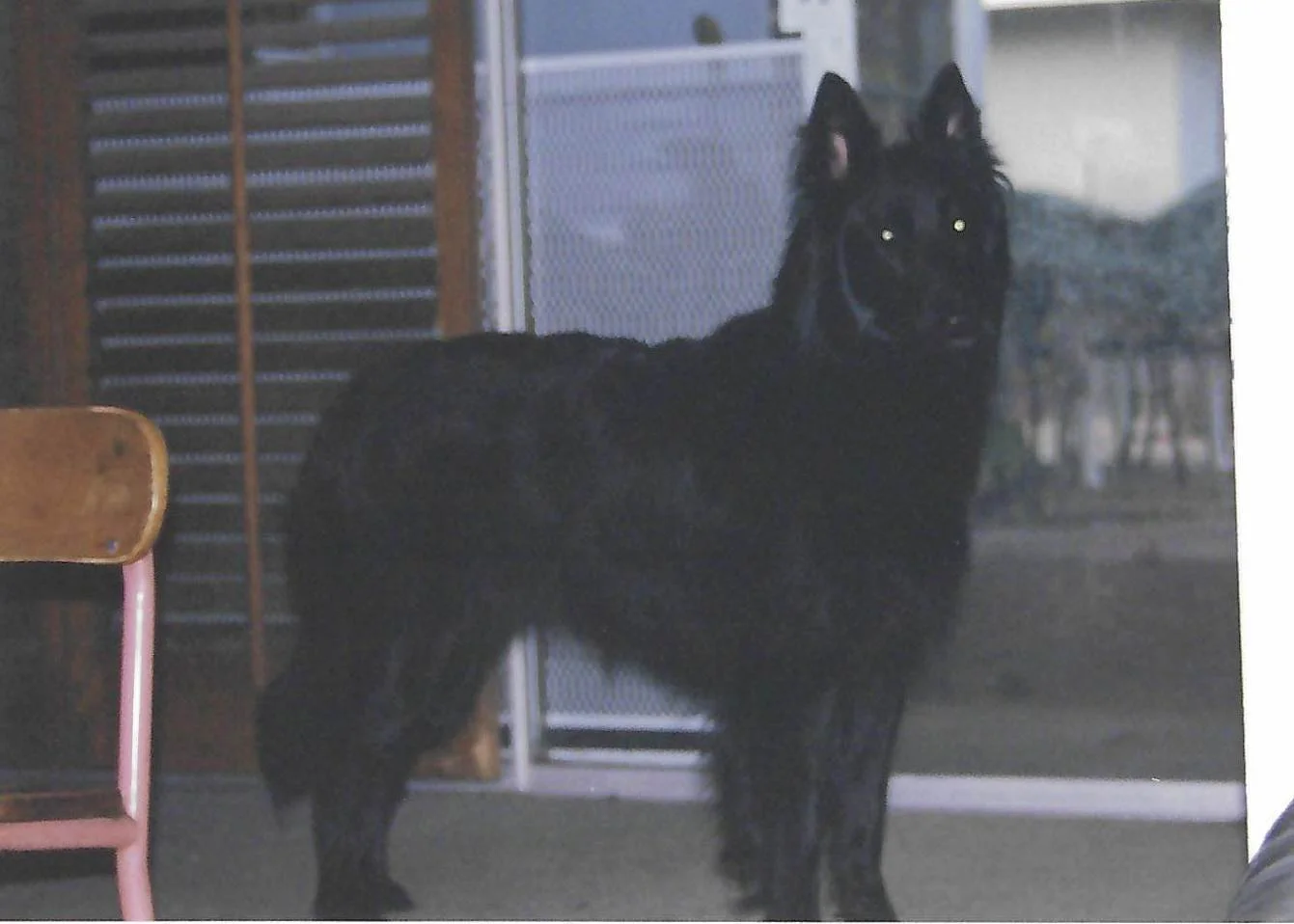 scan_20260618144836.jpeg