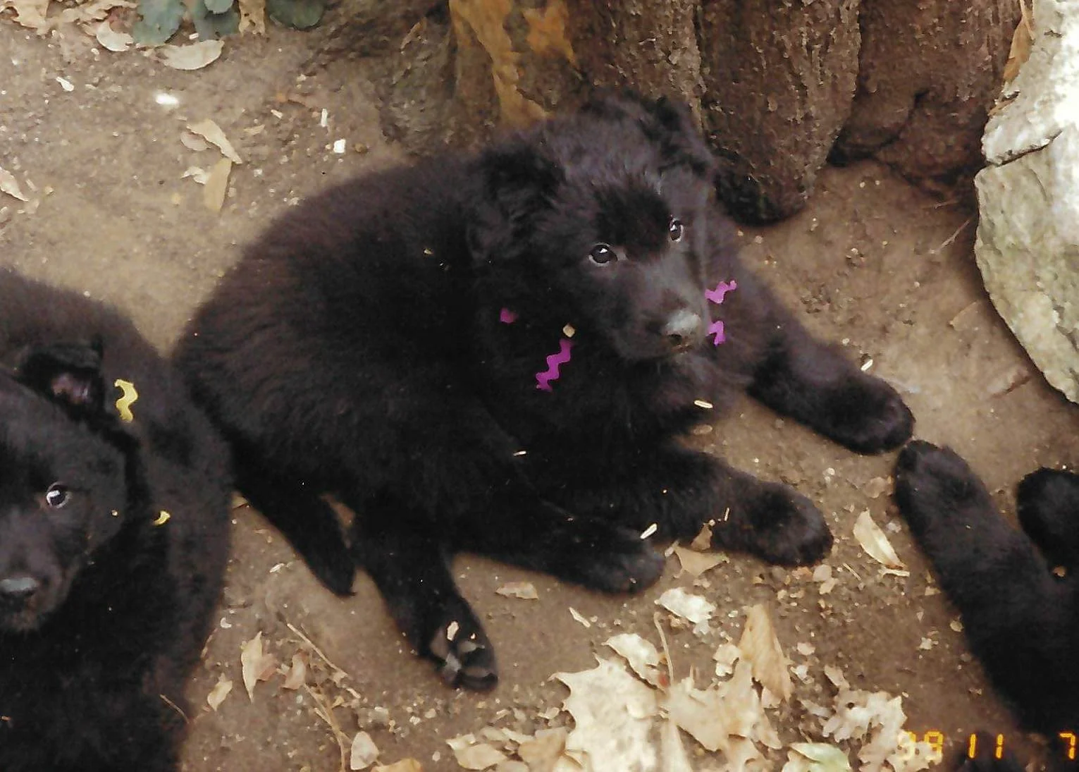 scan_20260618143042.jpeg