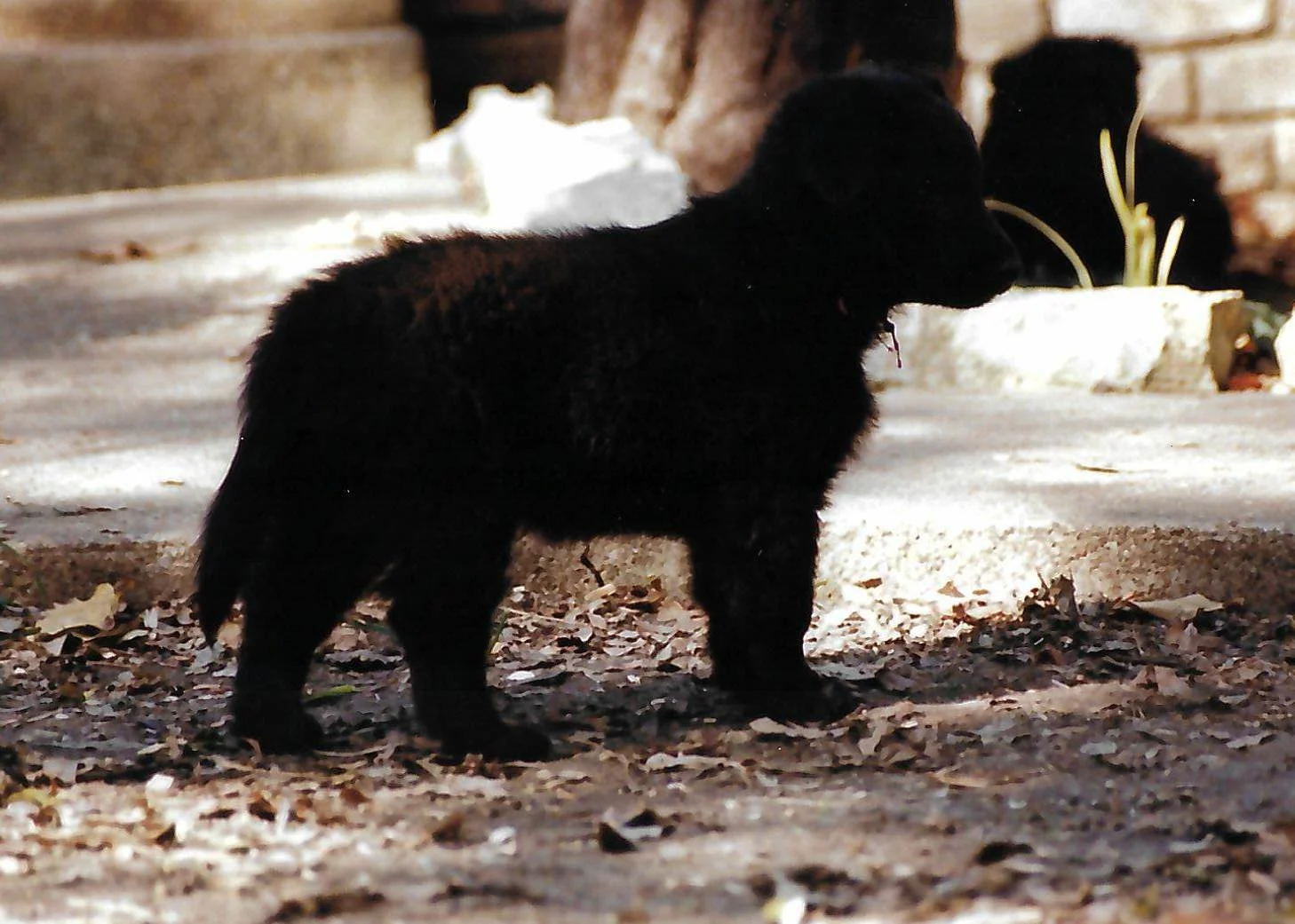 scan_20260618143100.jpeg