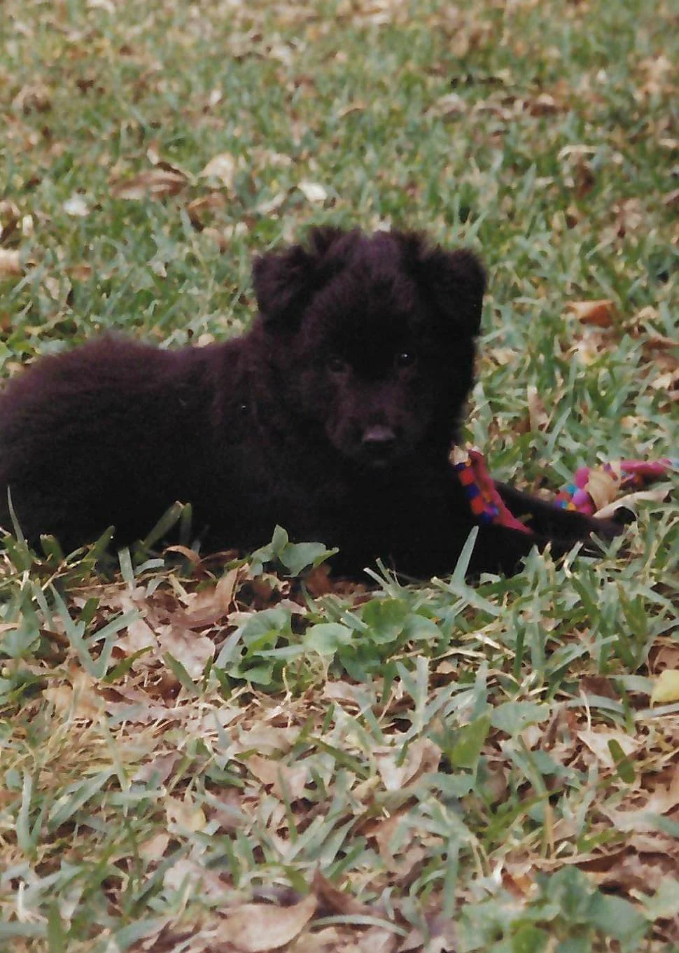 scan_20260618143230.jpeg