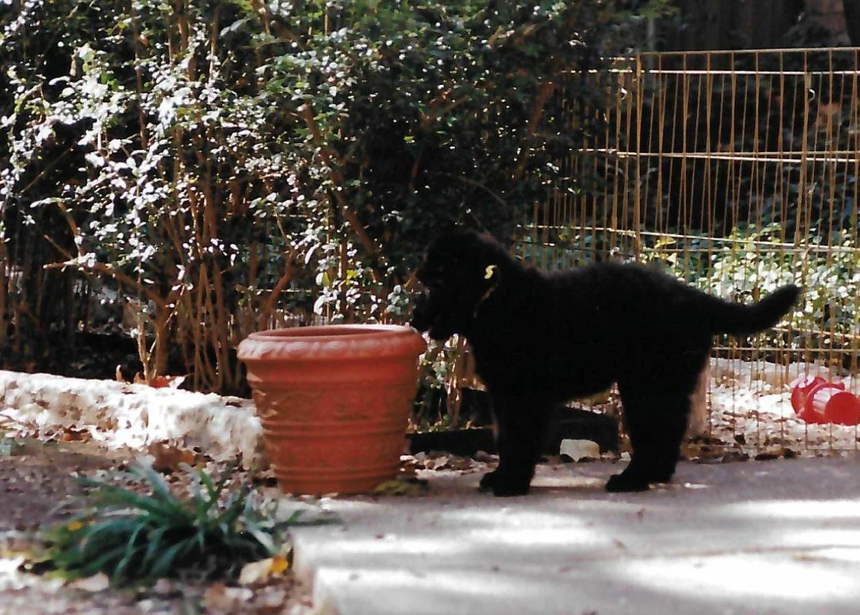 scan_20260618143246.jpeg