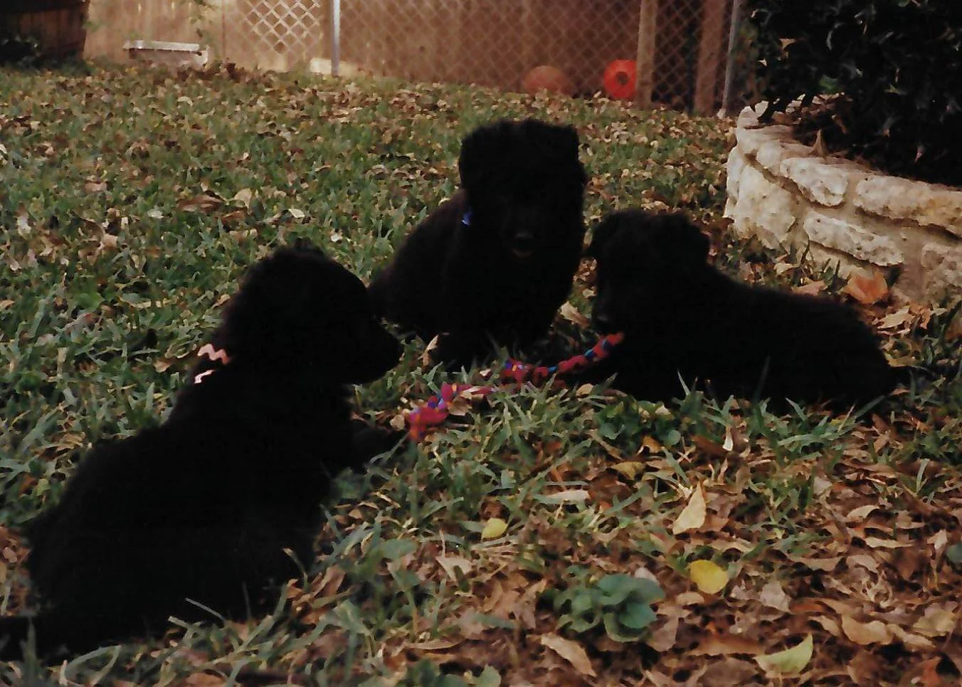 scan_20260618143402.jpeg