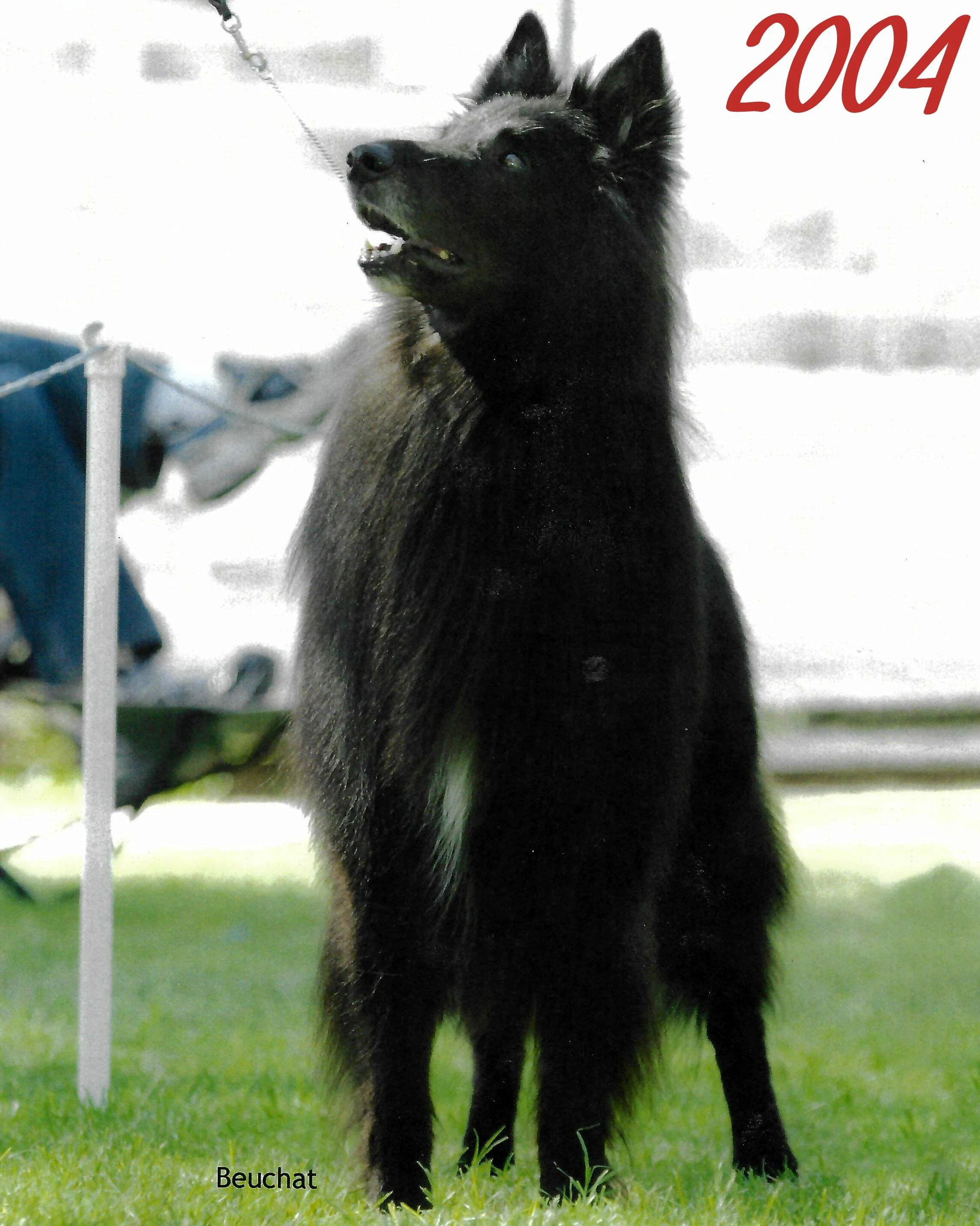 2004_20260508093211.jpeg