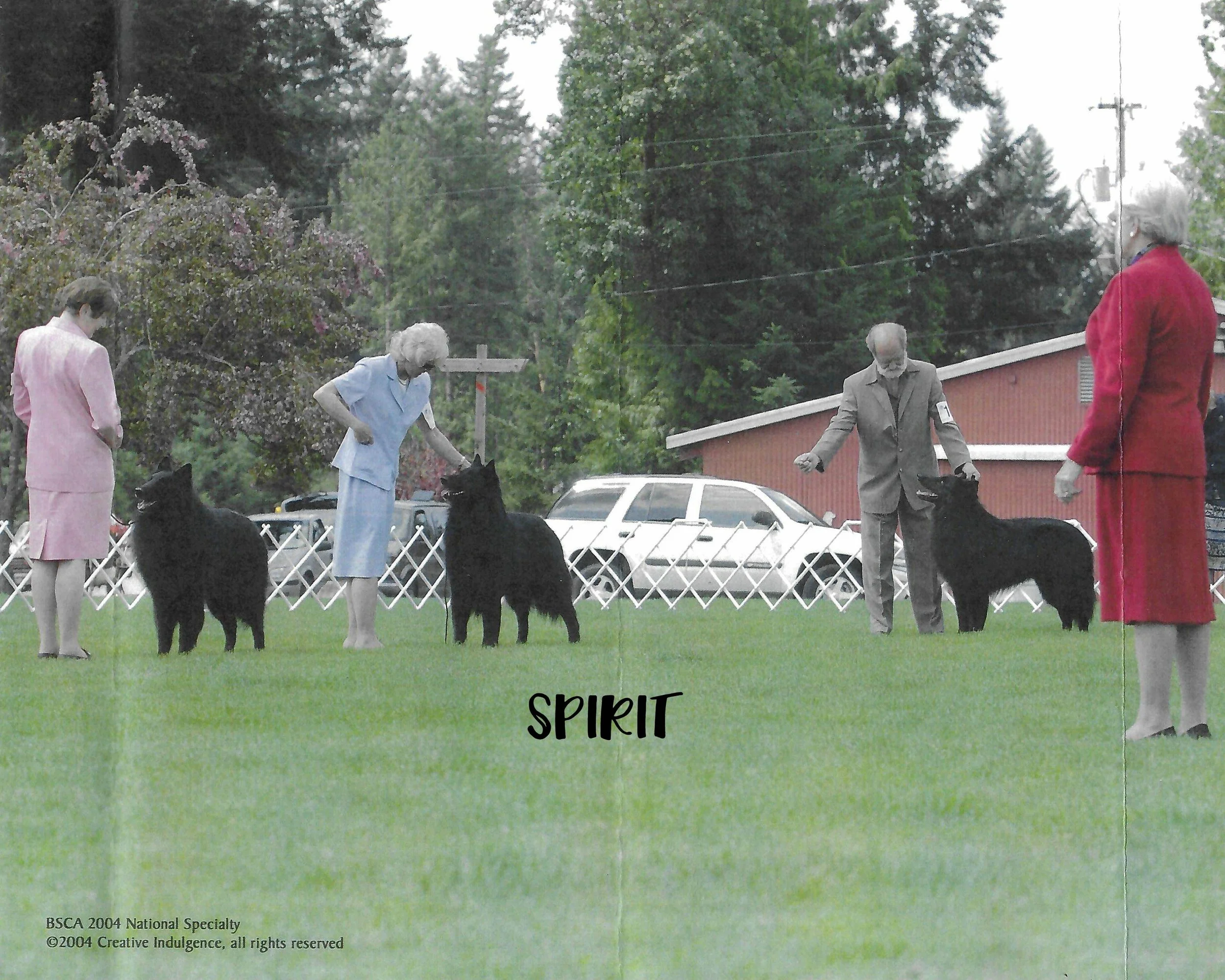 2004_20260508093148.jpeg