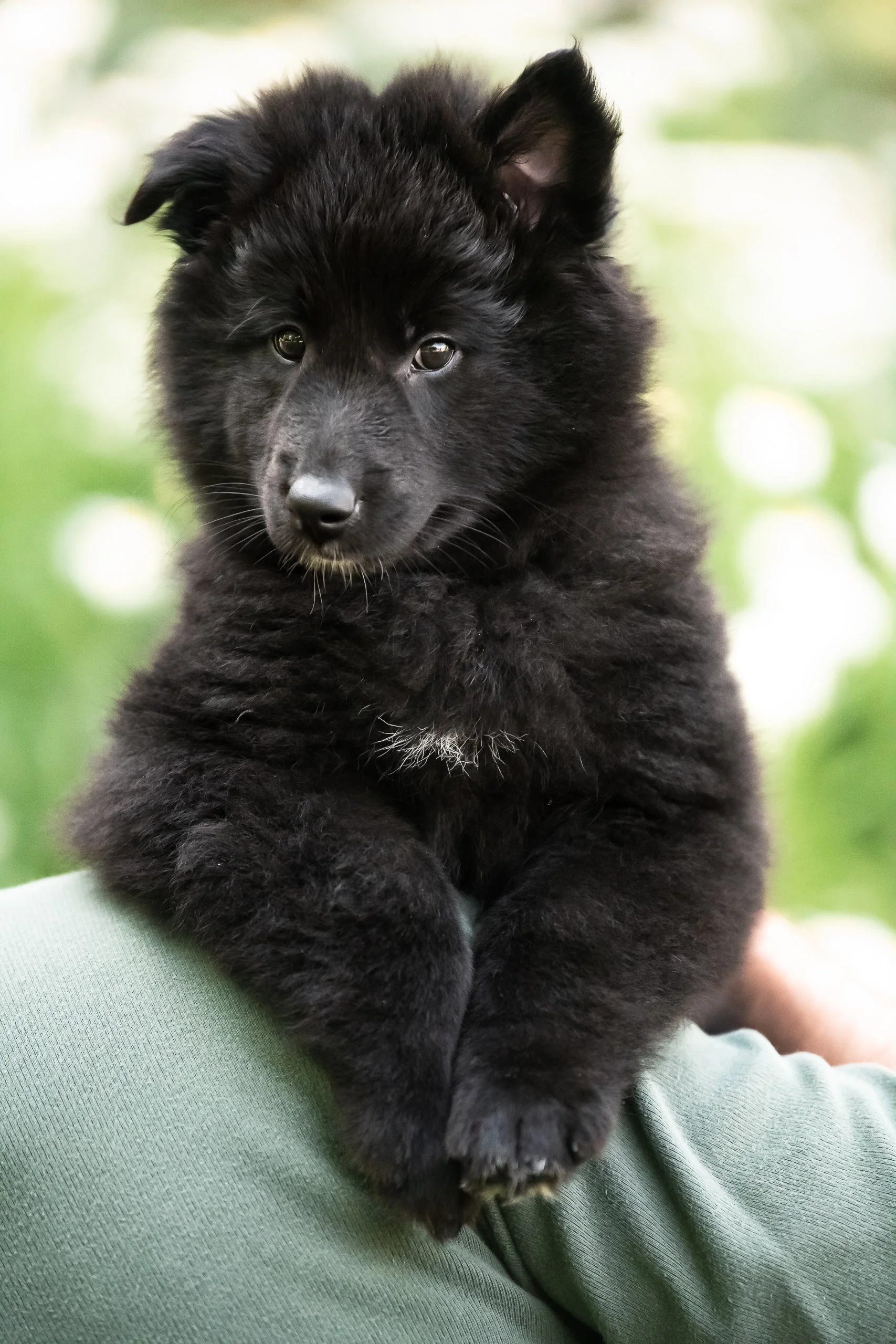 DSC_8250.jpg
