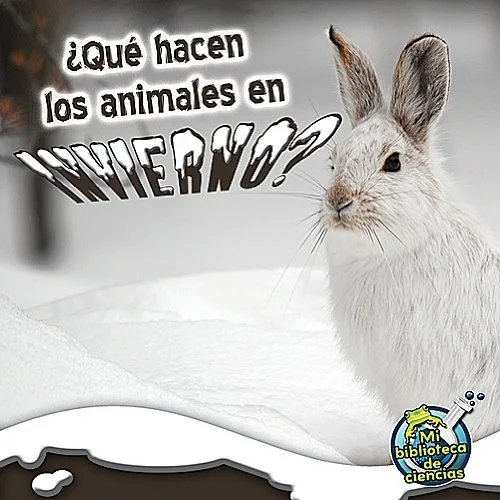 ¿Qué hacen los animales en invierno?