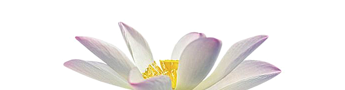 denver-massage-chiropractic.jpg
