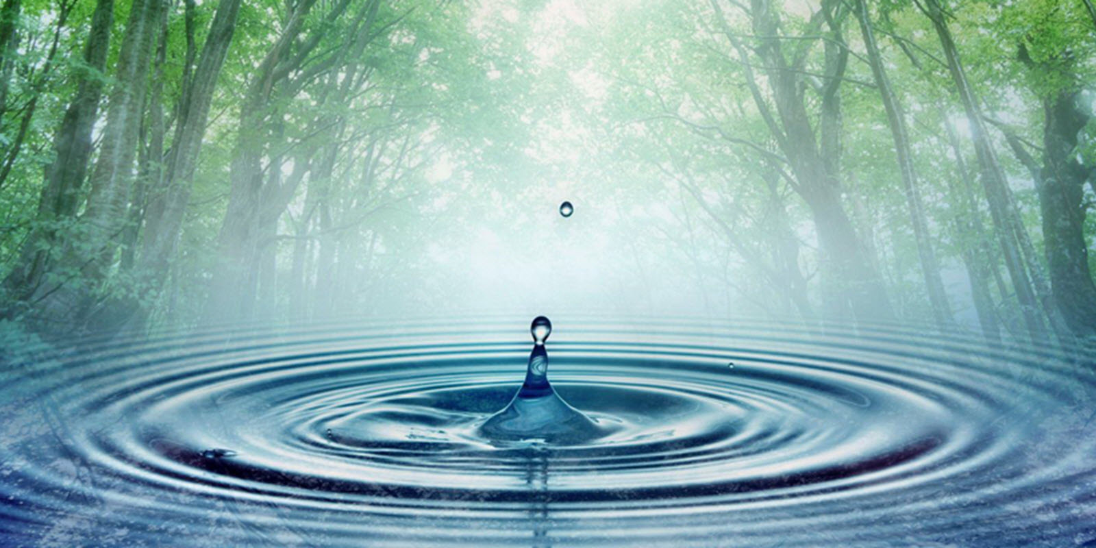 Water.jpg