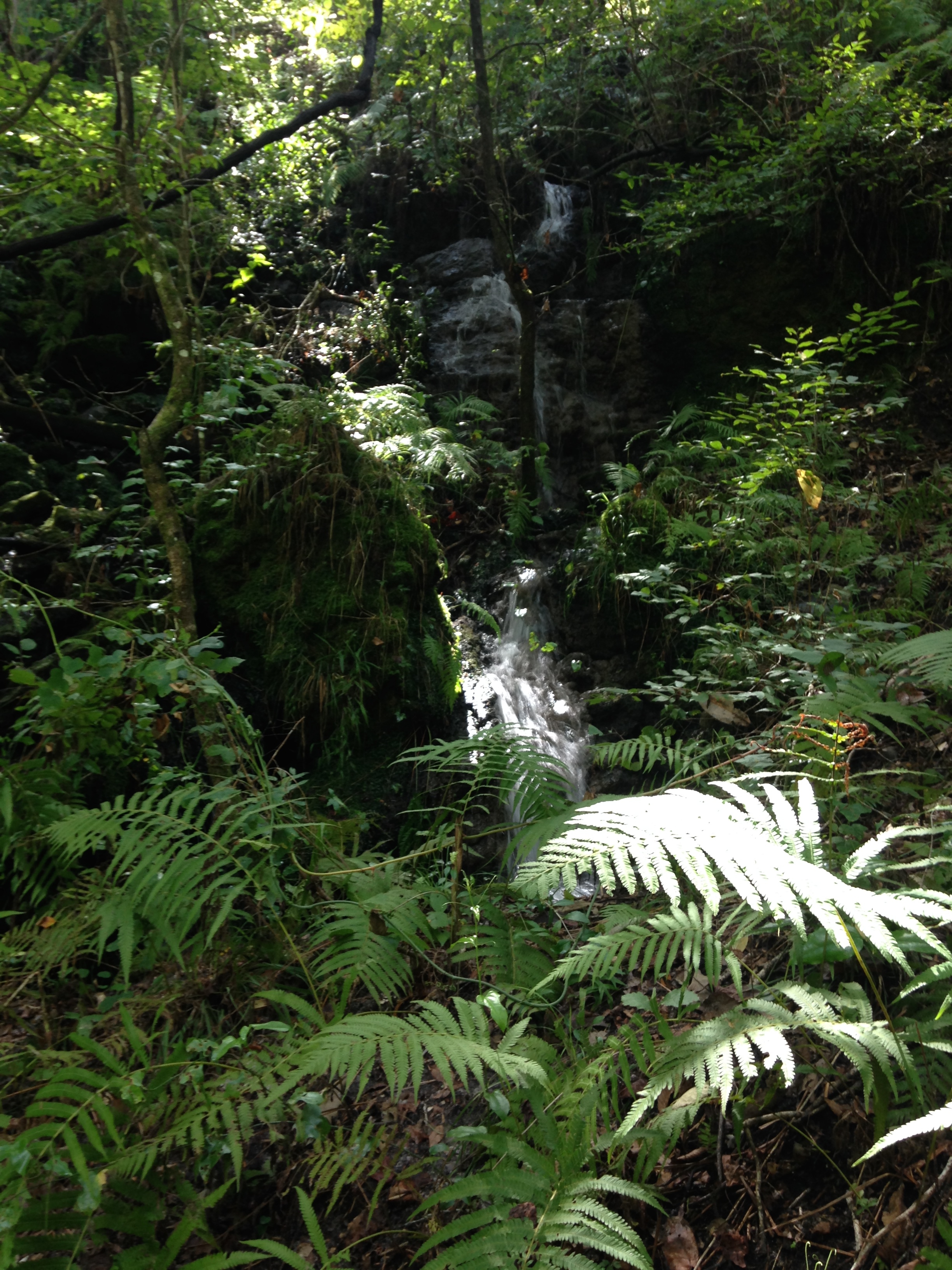 The shady sinkhole of The Devil's Millhopper and its waterfalls shelter eerie stories of demons, bones, and Indian princesses. 