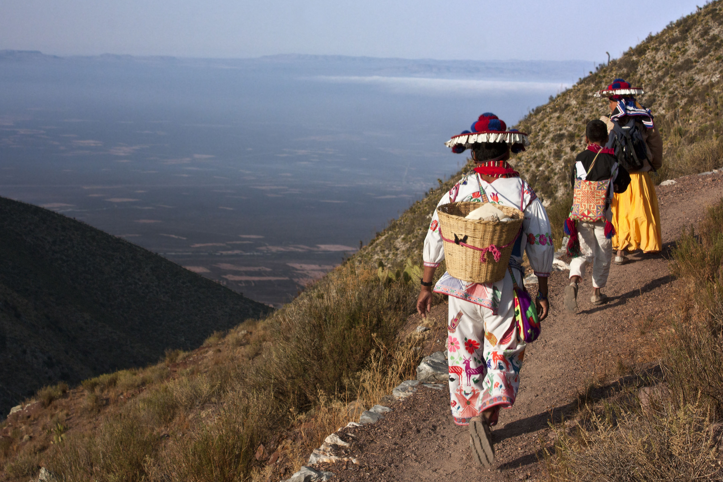 Making the peyote pilgrimage.
