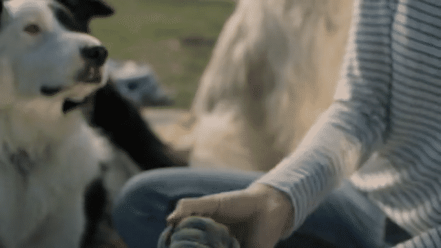 MADE FOR PICNICKERS-low.gif